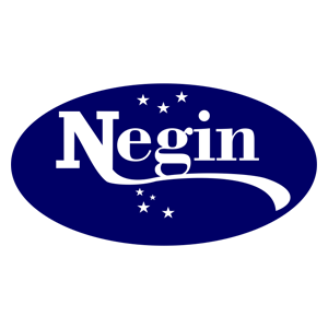 نگین